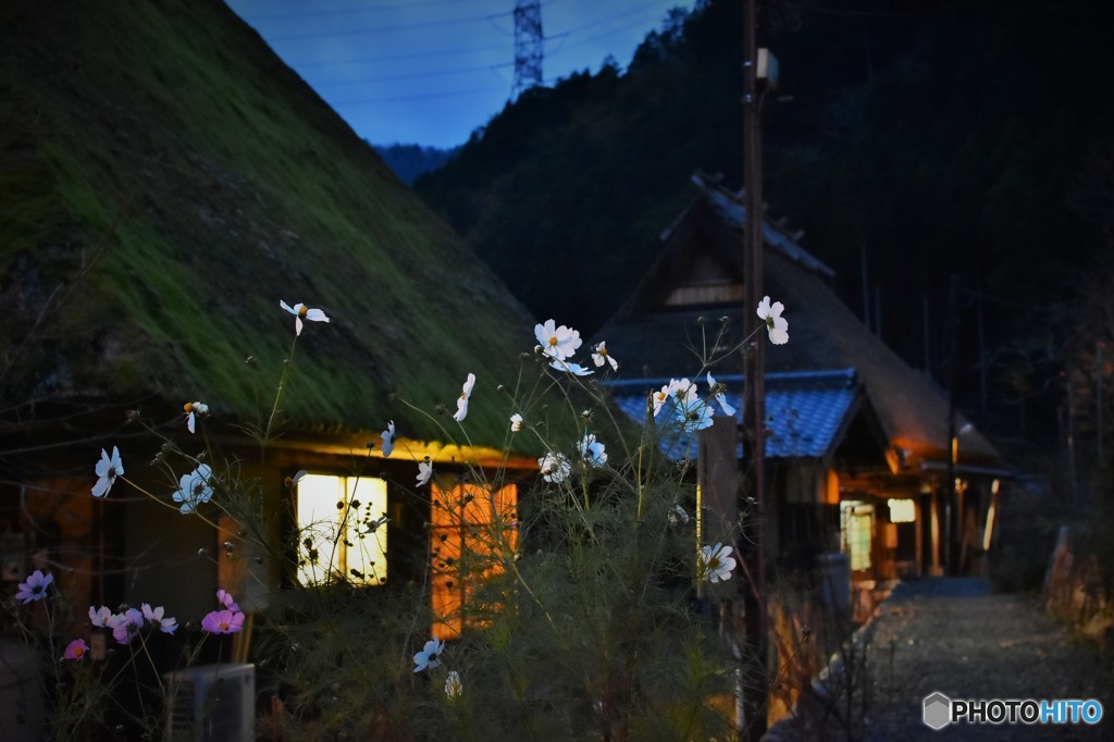 田舎の夕景