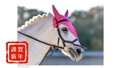 本年もよろしくお願いいたします。