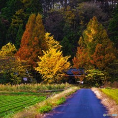 いつか来た道