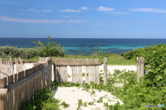 角島大橋の海岸