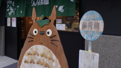 コンパニオンの方ですか？