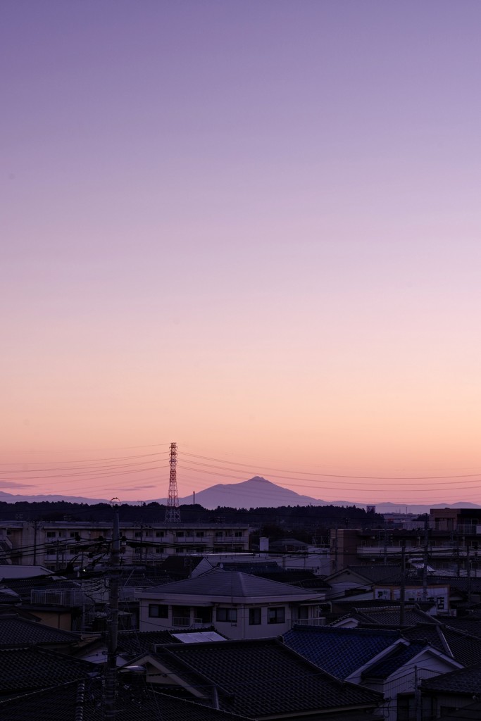 紫峰