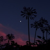 夕焼けと月