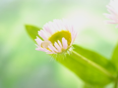 雨上がり