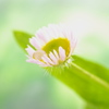 雨上がり