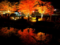曽木公園　2
