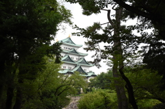 名古屋城見えました