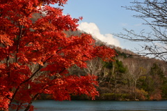 湯ノ湖にて～紅葉～