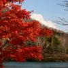湯ノ湖にて～紅葉～