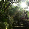 鋸山 登山道