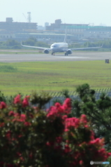飛行場のとある夏の一日