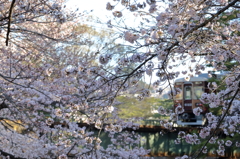 桜門