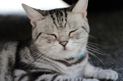 Nice Smile♪