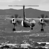 landing dragonfry plane