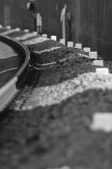 明と暗、直と曲