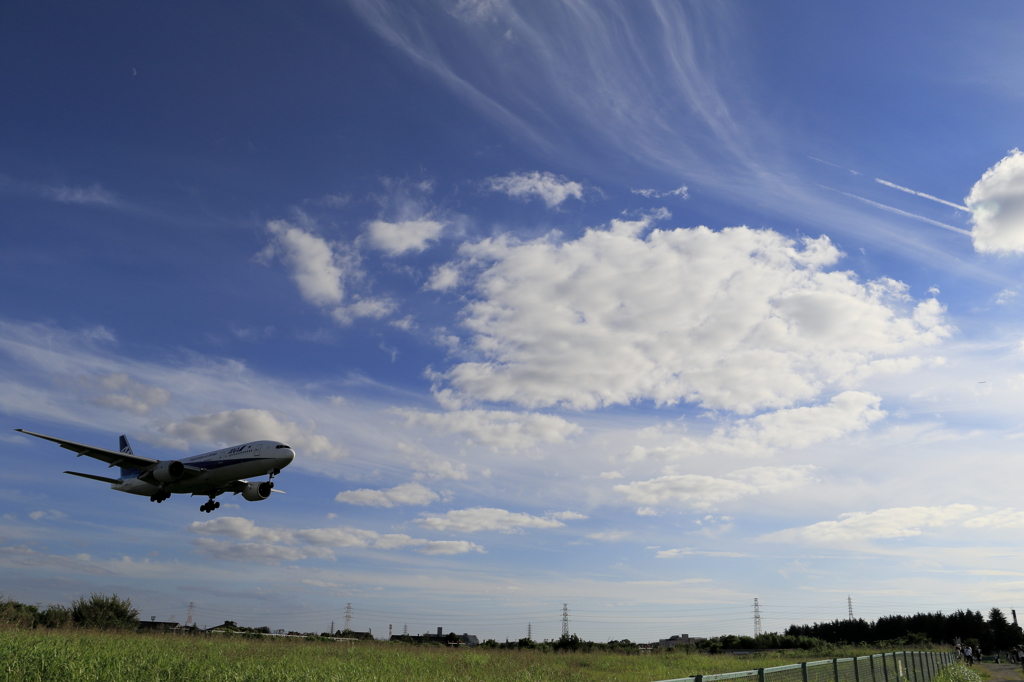 Blue plane in the sky！