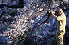 鋭視