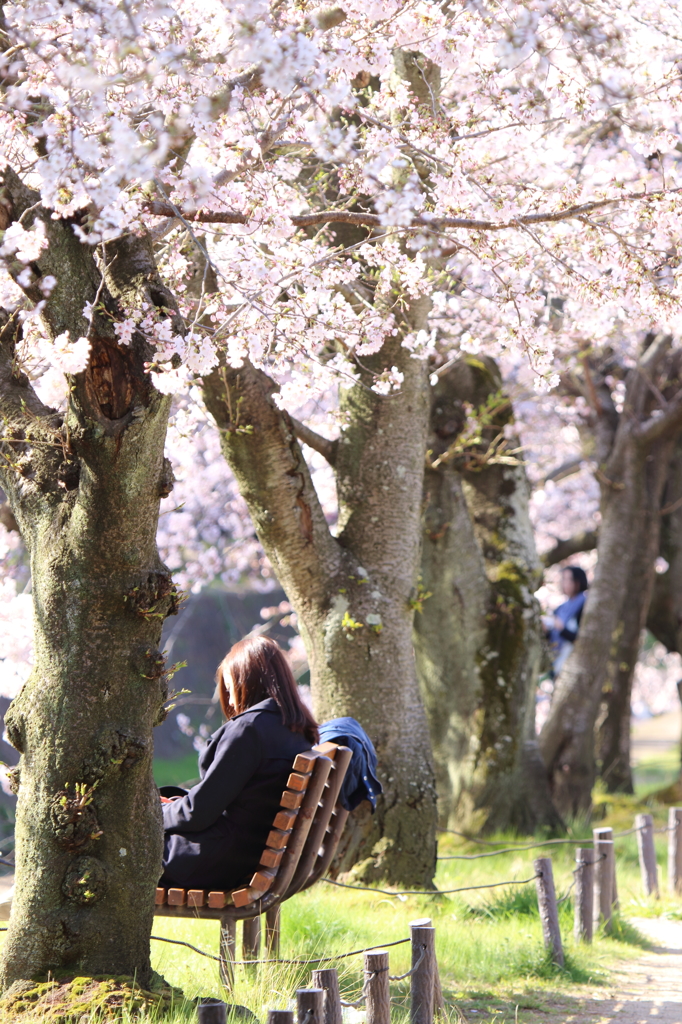 大切な貴方は・・・