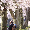 大切な貴方は・・・