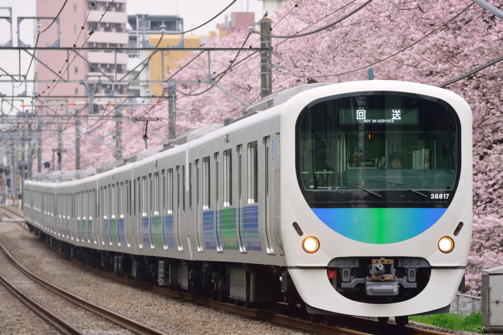 西武新宿線 武蔵関～東伏見 　smile train