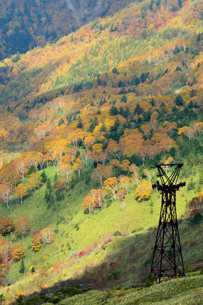 毛無峠　遺構と紅葉