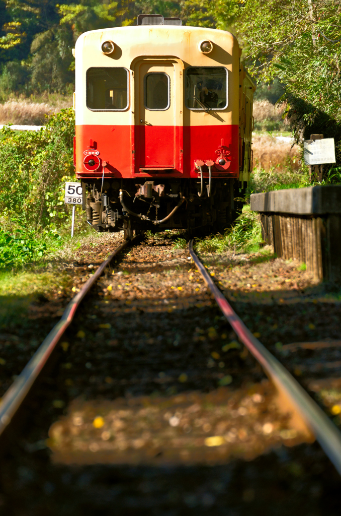 小湊鉄道　走り去るキハ200