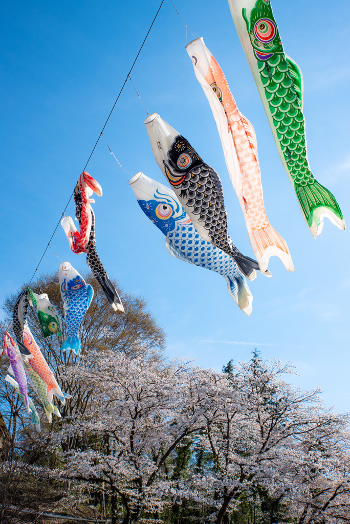 聞こえてくる５月の足音