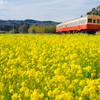 小湊鉄道の初春　２