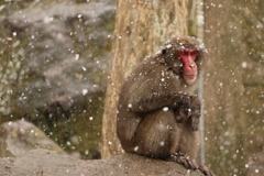 雪の中で