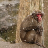 雪の中で