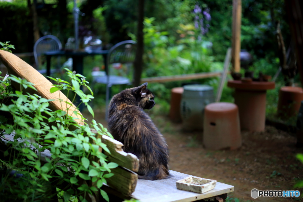 なにか動いたぞ