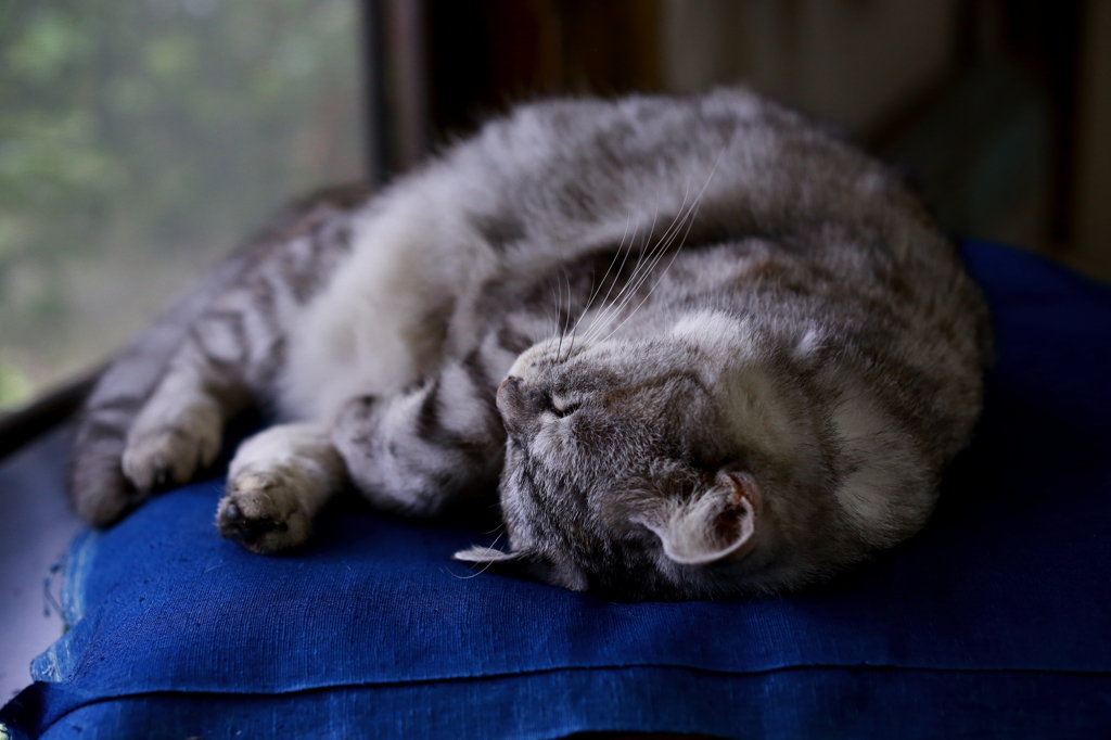 眠