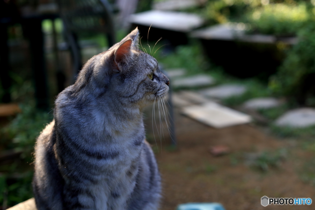 まつ毛が・・・