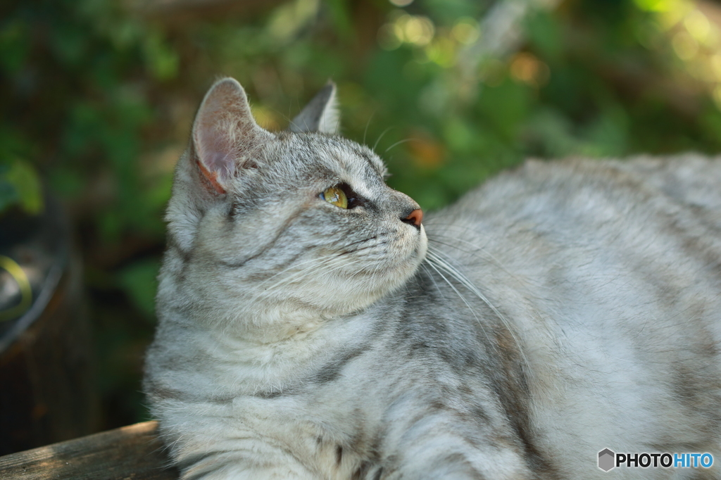 この角度で撮ってみて