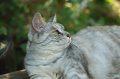 この角度で撮ってみて