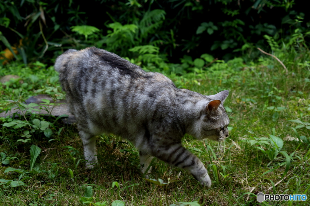 雨上がりは歩き辛い