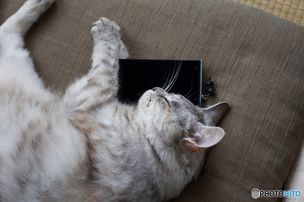 目覚ましはスマホ
