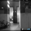 自転車一台