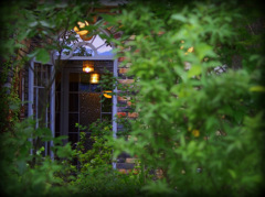 林の中のカフェ