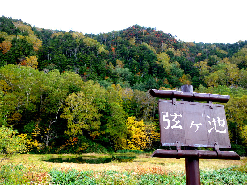 池見えますか？