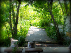 お蕎麦屋さんの庭