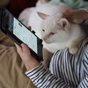 甘えっこだね！