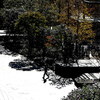 SHINAGAWA　PATIO？