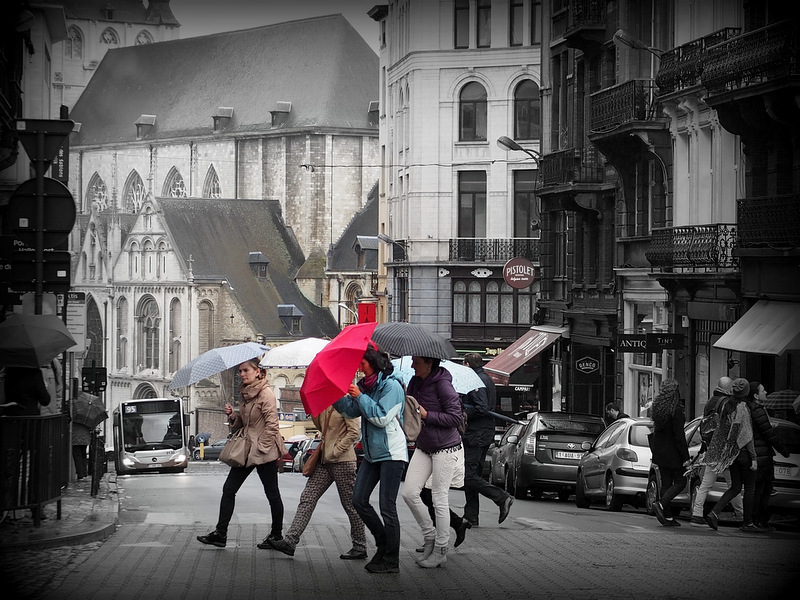 umbrella
