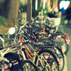 自転車いっぱい
