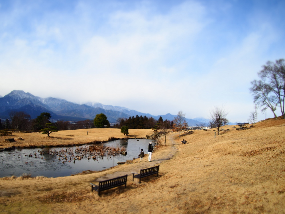 池のお散歩