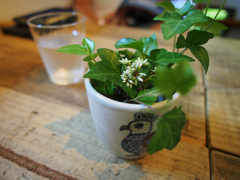 カフェモーニング（４）