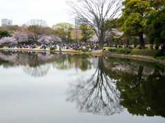 北の丸公園へ　④