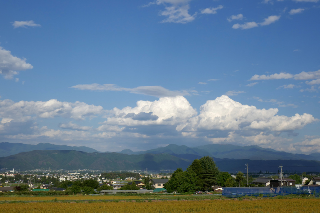 開けた景色