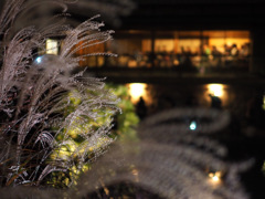 目白庭園